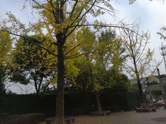 -八卦田遗址公园