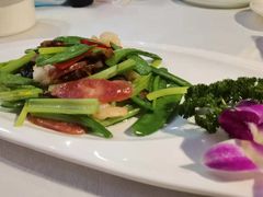 -云中小雅