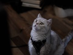 -春风十里咖啡馆