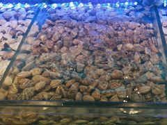 -透明思烤·自助烤肉海鲜火锅(东部星悦天地店)