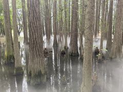 -东湖落雁景区