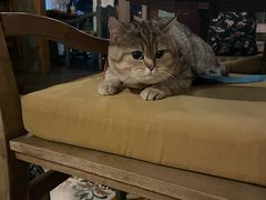 -BUND·FIVE外滩5号(天际店)