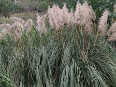 -meland·儿童乐园·游戏厅娃娃机·电玩Xbox(成都合生汇店)