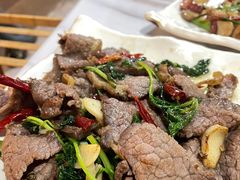-蘑统田下·野生菌火锅