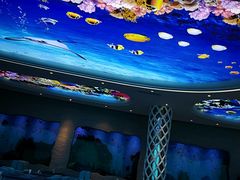 -瑞德姆美人鱼海底演艺主题餐厅(亚龙湾店)