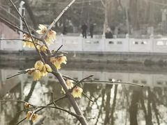 -丰台花园