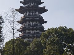 -洋湖国家湿地公园