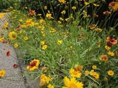 -幕燕滨江·长江观音景区