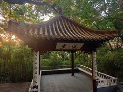 -北极阁公园