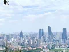 -惠山国家森林公园