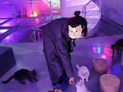 -极木²邸 人与宠物·互动社区