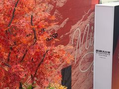 -石家庄万象城