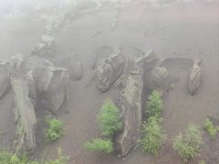 -峡谷浮石林景区