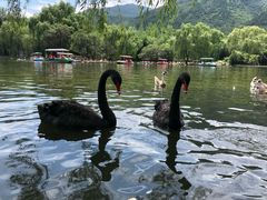 -西安秦岭野生动物园