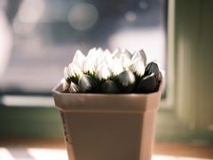 -Catch Bagel(芳草地店)