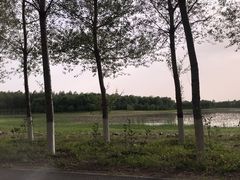 -东郊湿地公园