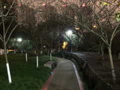 -龙头寺公园