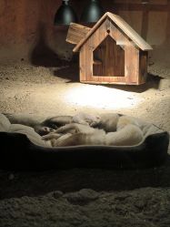 -酷嗒动物文化乐园(cutezoo西溪乐天城店)