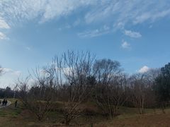 -白鹭湾湿地公园