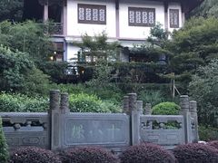 -十八棵（老龙井）御茶园(老龙井店)