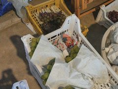 -马陆小张葡萄园农家乐