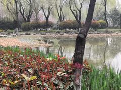-木塔寺遗址生态公园