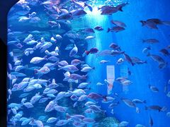 -成都浩海立方海洋公园