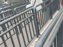 -第35届青岛国际啤酒节