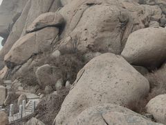 -崂山巨峰游览区