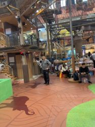 -卡通尼·Safari非洲探索乐园·生日会(金桥国际商业广场店)