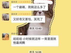 -美联众合动物医院·24h转诊中心