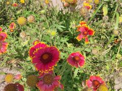 -永定河休闲森林公园