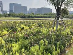 -春花秋色城市公园