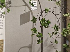 -平江历史文化街区-友苏美术馆