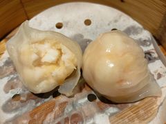 维园虾饺皇-维园悦谱·海派家常菜(乌鲁木齐南路店)