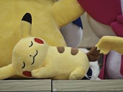 -日本大使馆-新闻文化中心