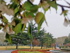 -河南省黄河迎宾馆