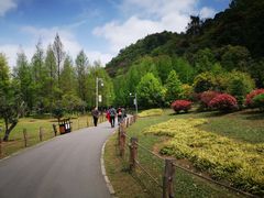 -贵阳市花溪国家城市湿地公园