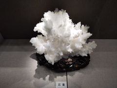 -北京中医药大学-中医药博物馆