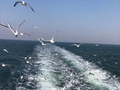 -青岛奥林匹克帆船中心