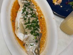 鸡汁蒸海鲈鱼-沪华海鲜大酒楼(南汇店)