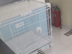 -天宠宠物医院24小时·急重症诊疗中心·全科·腔镜特色(和平分院)