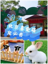 -萌宠亲子动物乐园(槐房万达店)