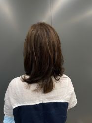 -藤野造型