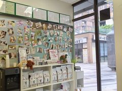 -爱妮康宠物医院·干细胞免疫细胞·肿瘤·心脏(张江店)