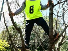 -能量小象·感统·专注力·语言(崂山校区)