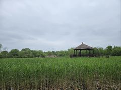 -梁鸿国家湿地公园