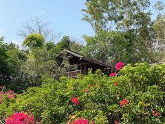 -深圳国际园林花卉博览园