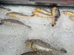 -盒马鲜生(悠方店)