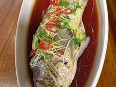 清蒸石斑鱼-王府家宴WAHAT AL MLOK RESTAURANT